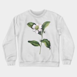 Watercolor Camellia Chinese Tea Crewneck Sweatshirt